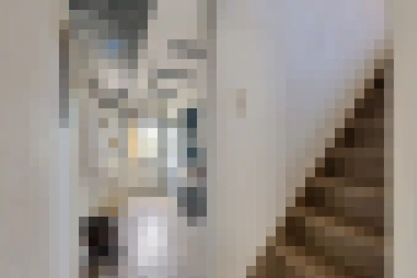 Buorren 42 Rien thumbnail 14