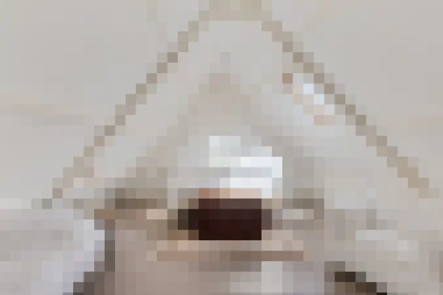 Buorren 42 Rien thumbnail 20