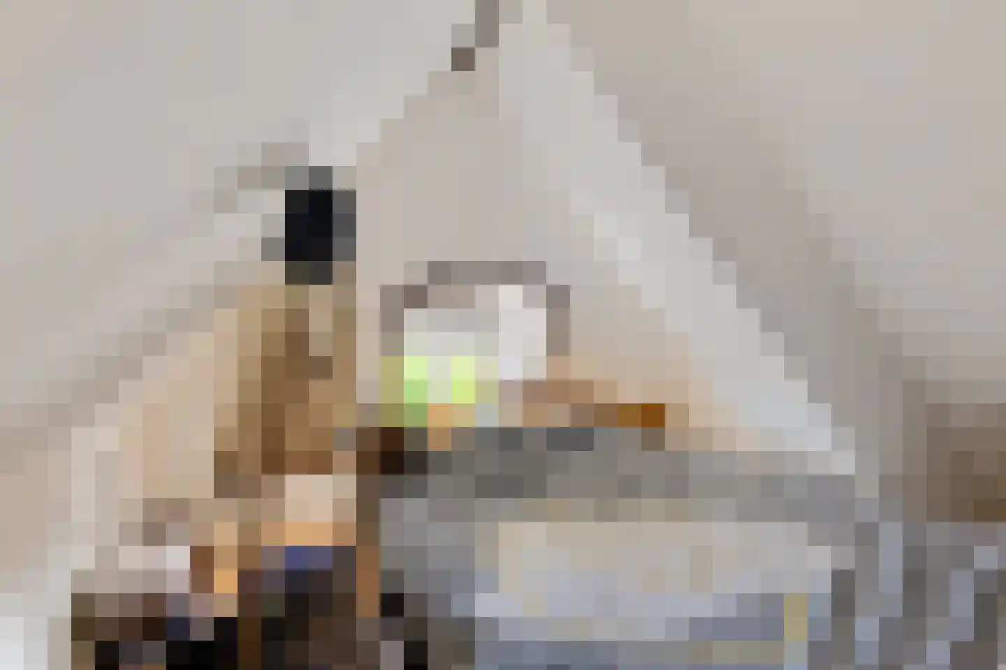Buorren 42 Rien thumbnail 22
