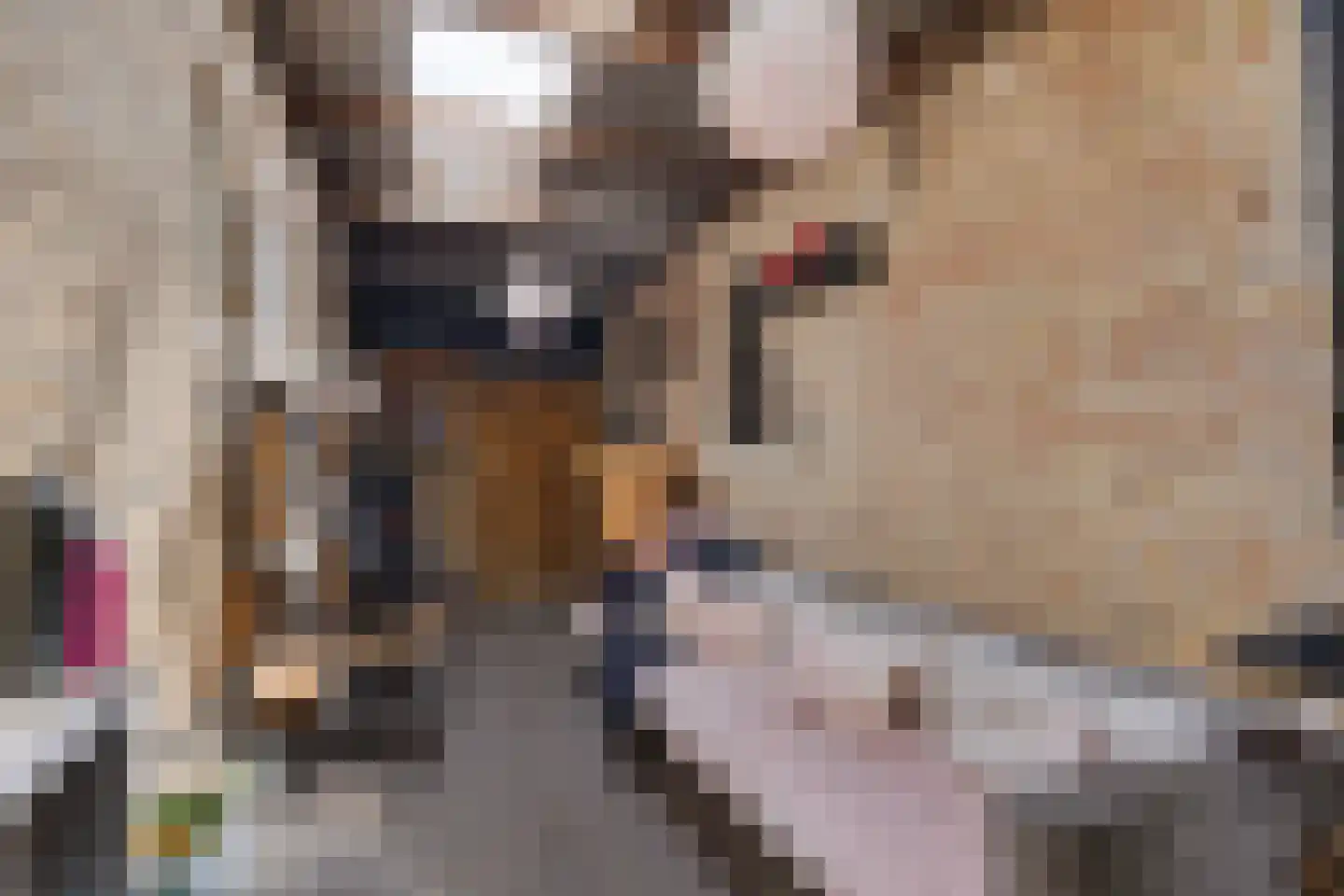 Buorren 42 Rien thumbnail 26