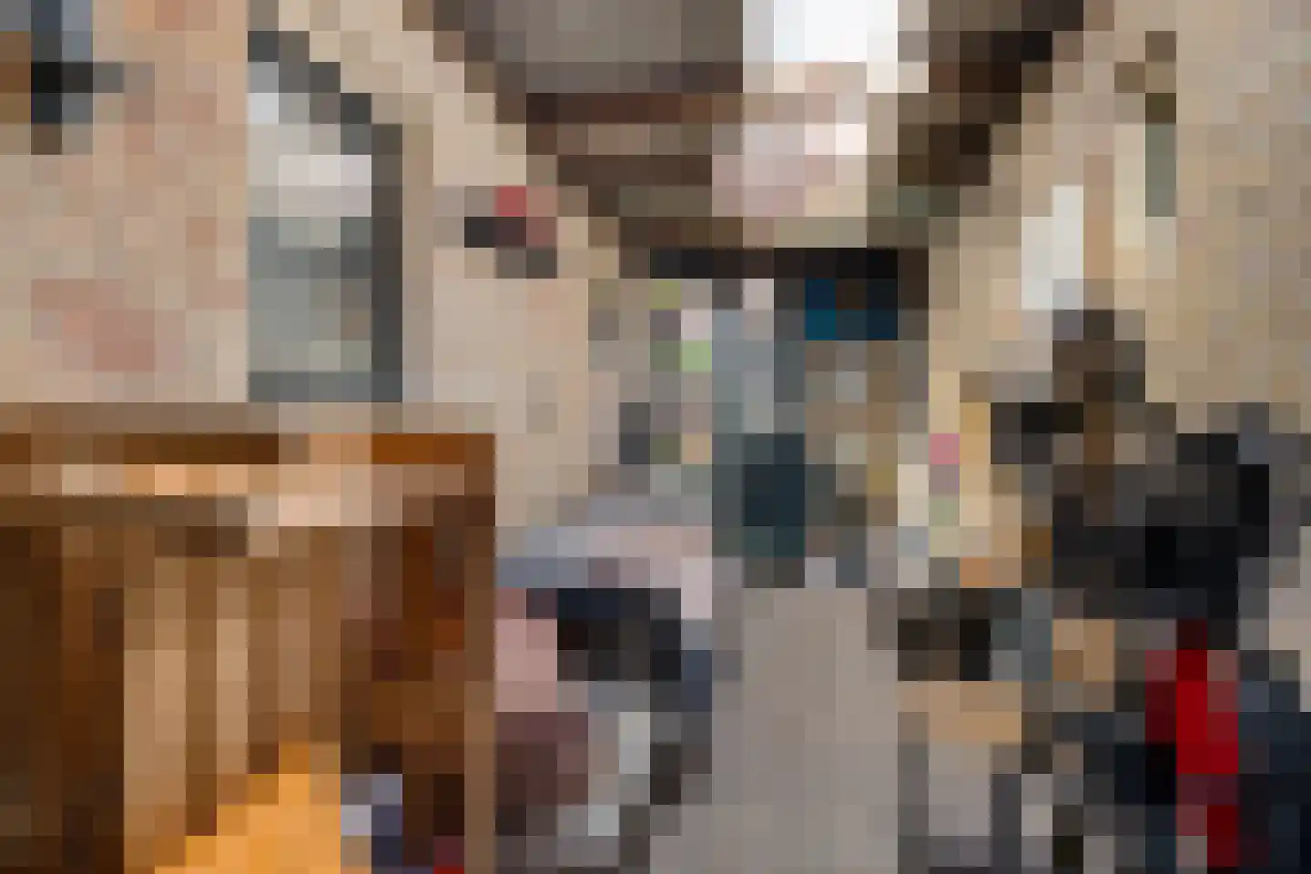 Buorren 42 Rien thumbnail 27