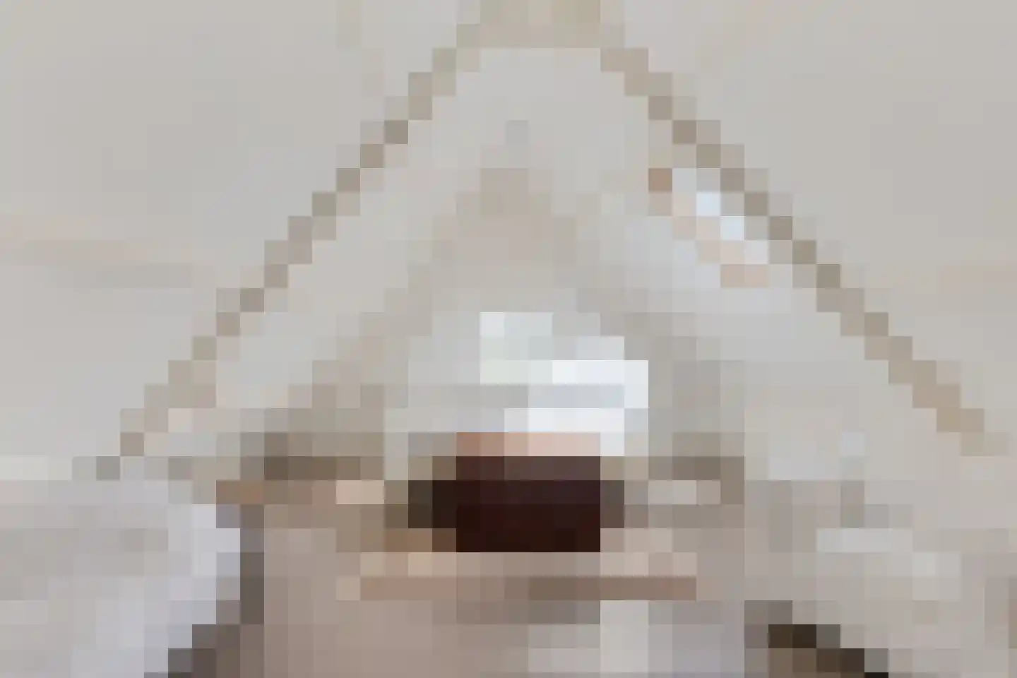 Buorren 42 Rien foto 3