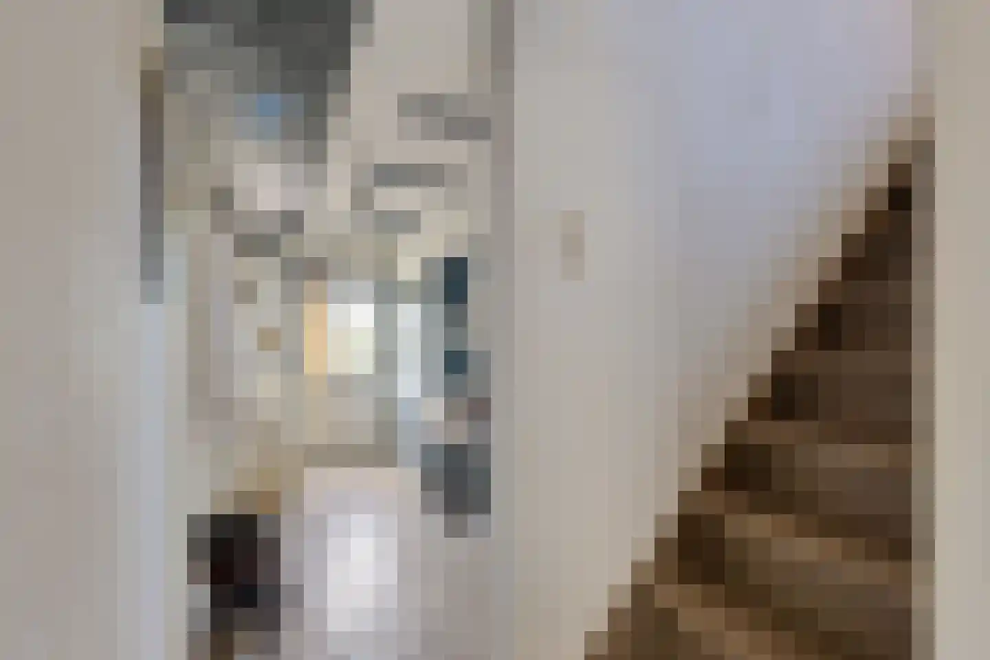 Buorren 42 Rien thumbnail 31