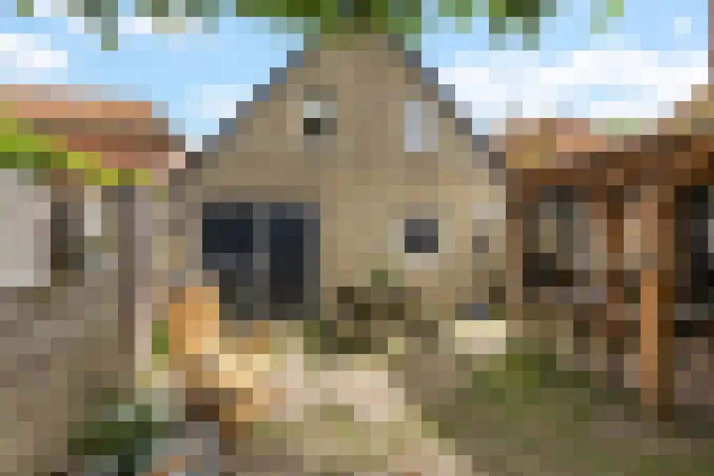 Buorren 42 Rien thumbnail 35