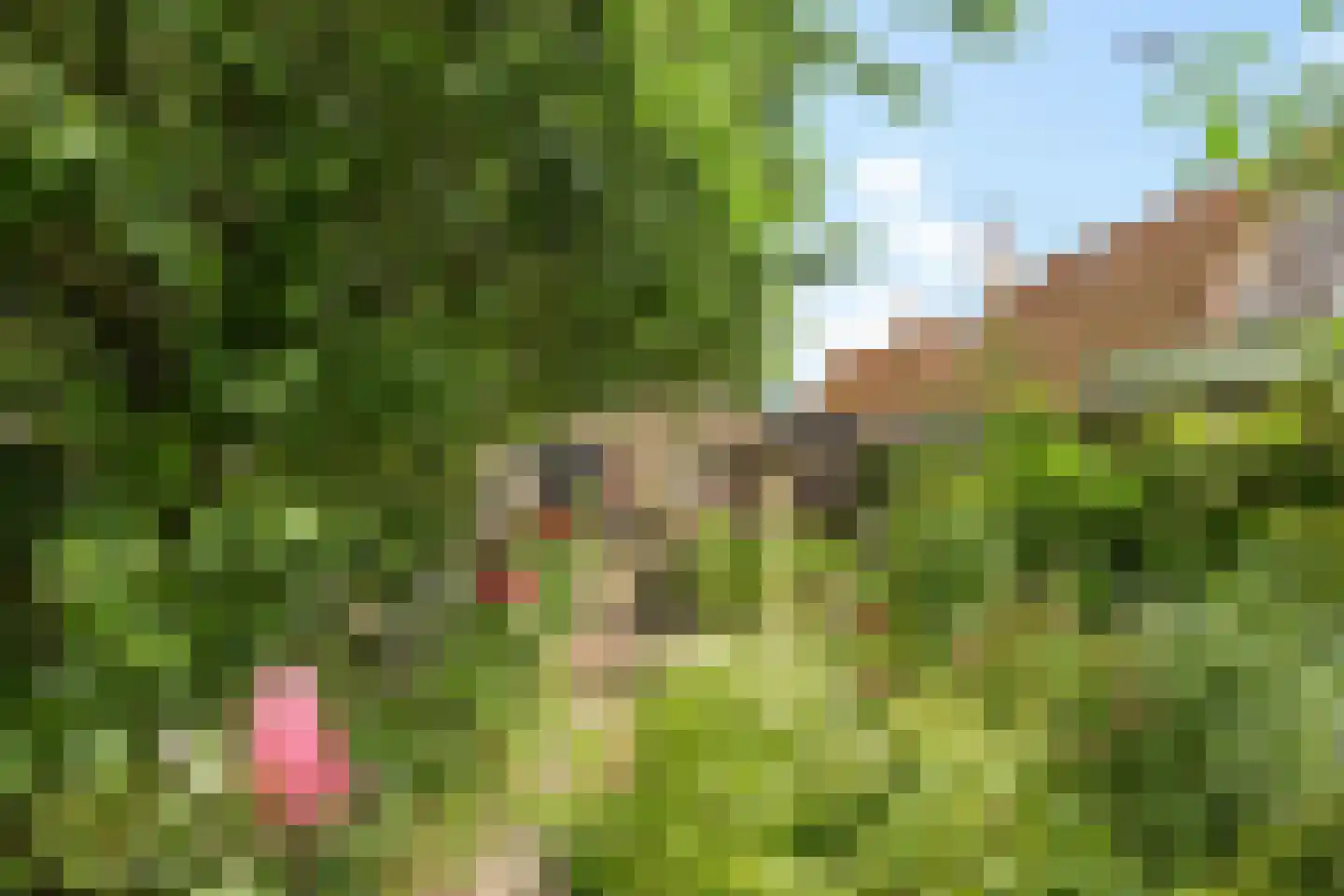 Buorren 42 Rien thumbnail 36