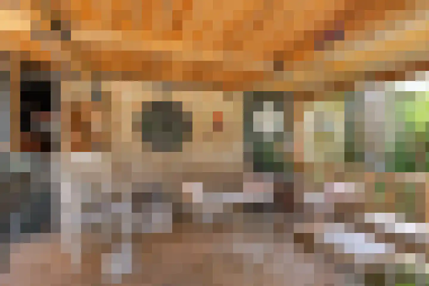 Buorren 42 Rien thumbnail 37