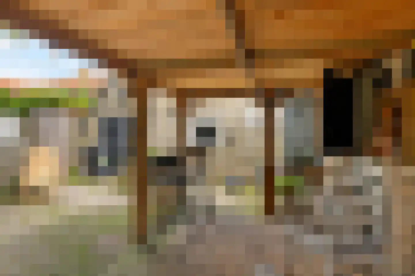 Buorren 42 Rien thumbnail 38