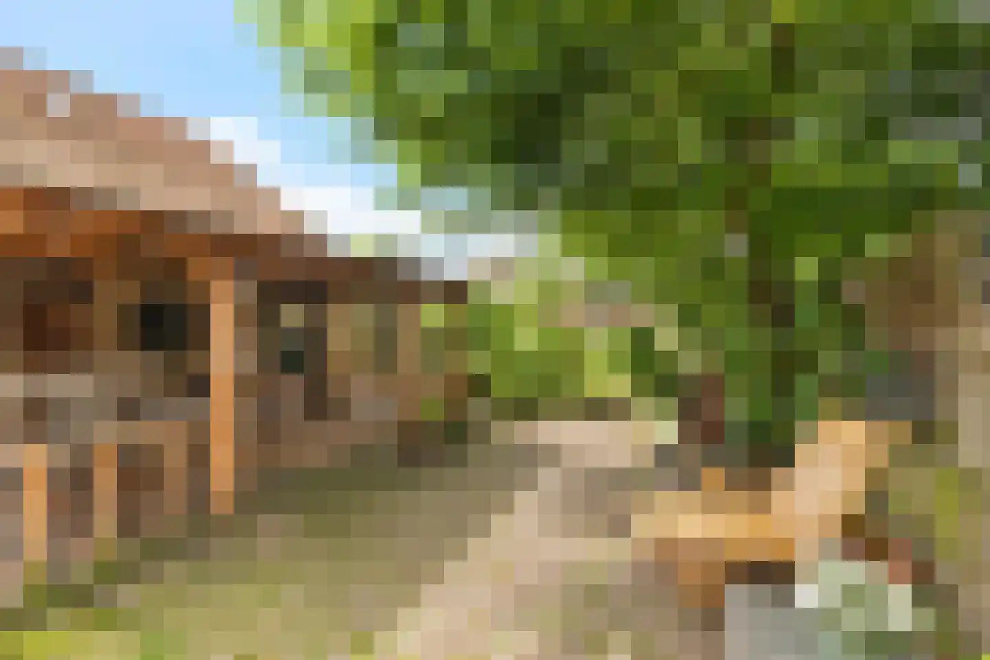 Buorren 42 Rien thumbnail 39
