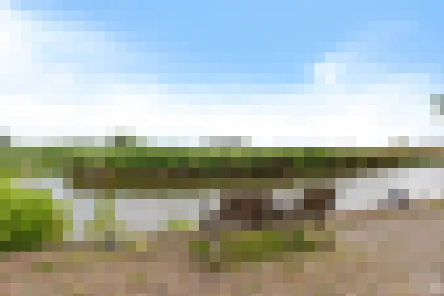 Buorren 42 Rien thumbnail 40