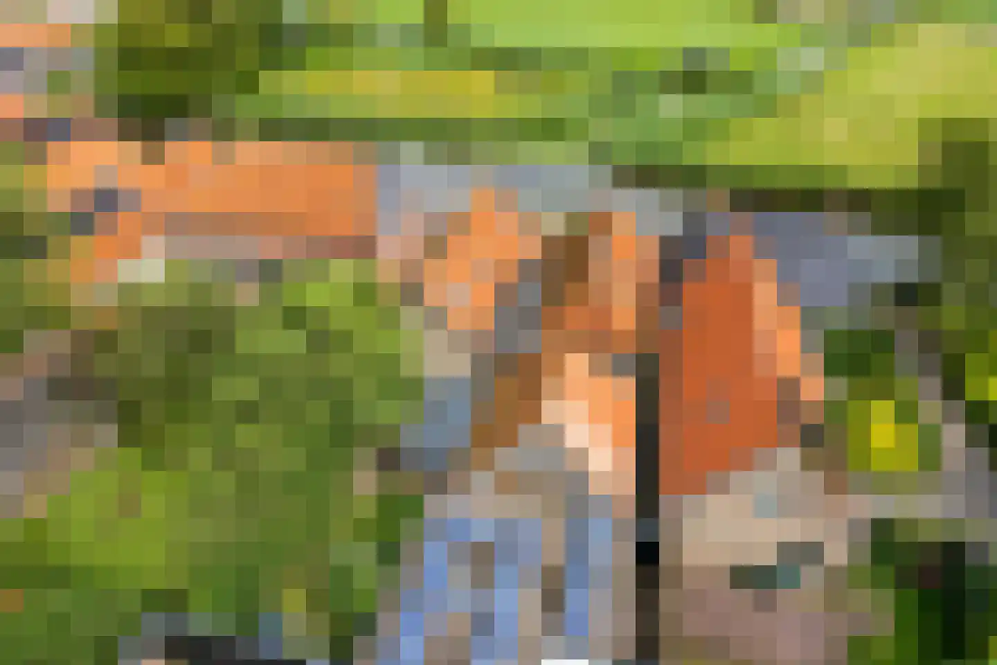 Buorren 42 Rien thumbnail 46