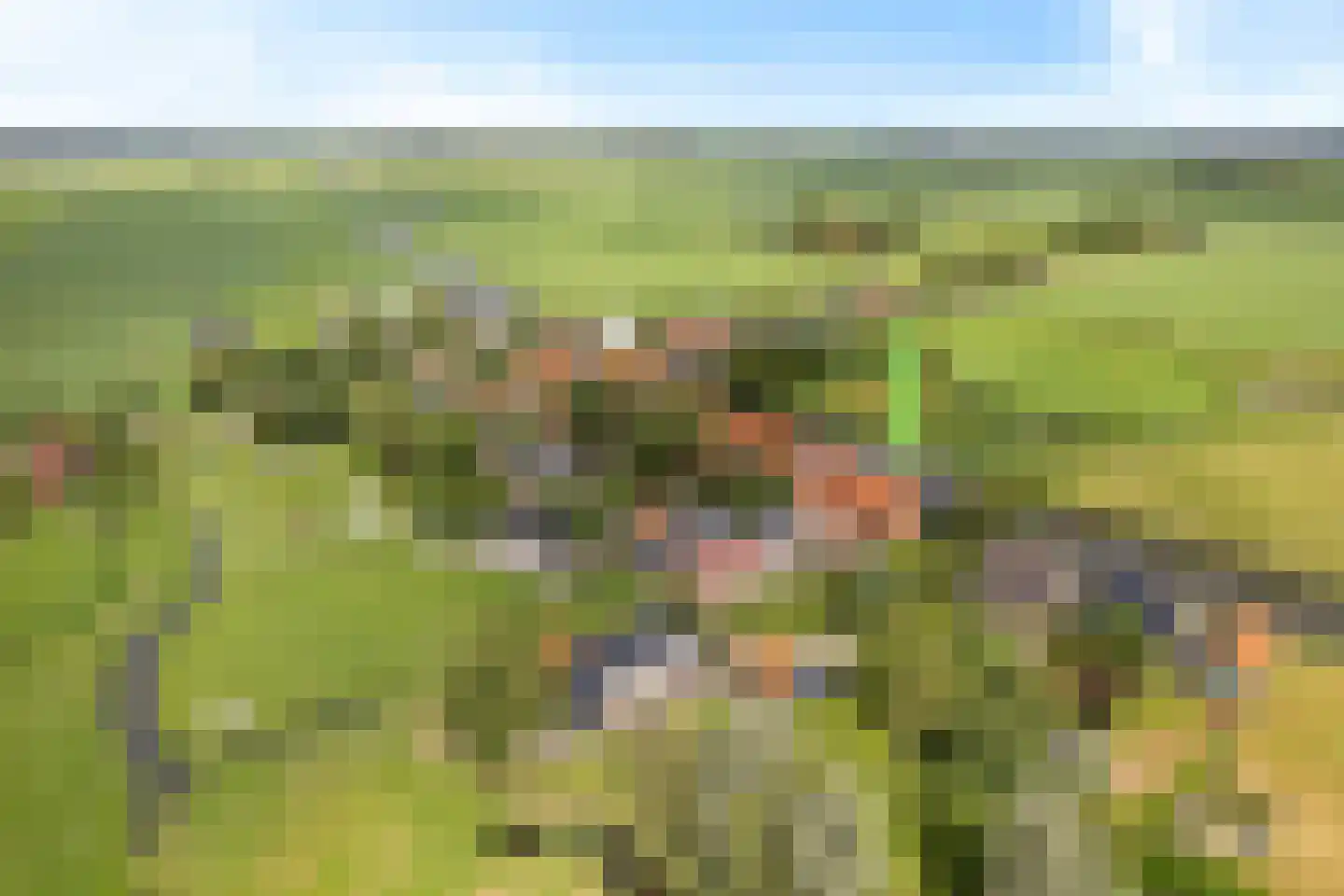 Buorren 42 Rien thumbnail 48