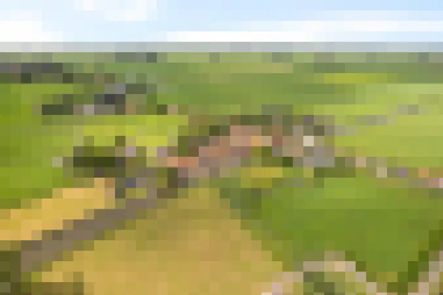 Buorren 42 Rien thumbnail 49