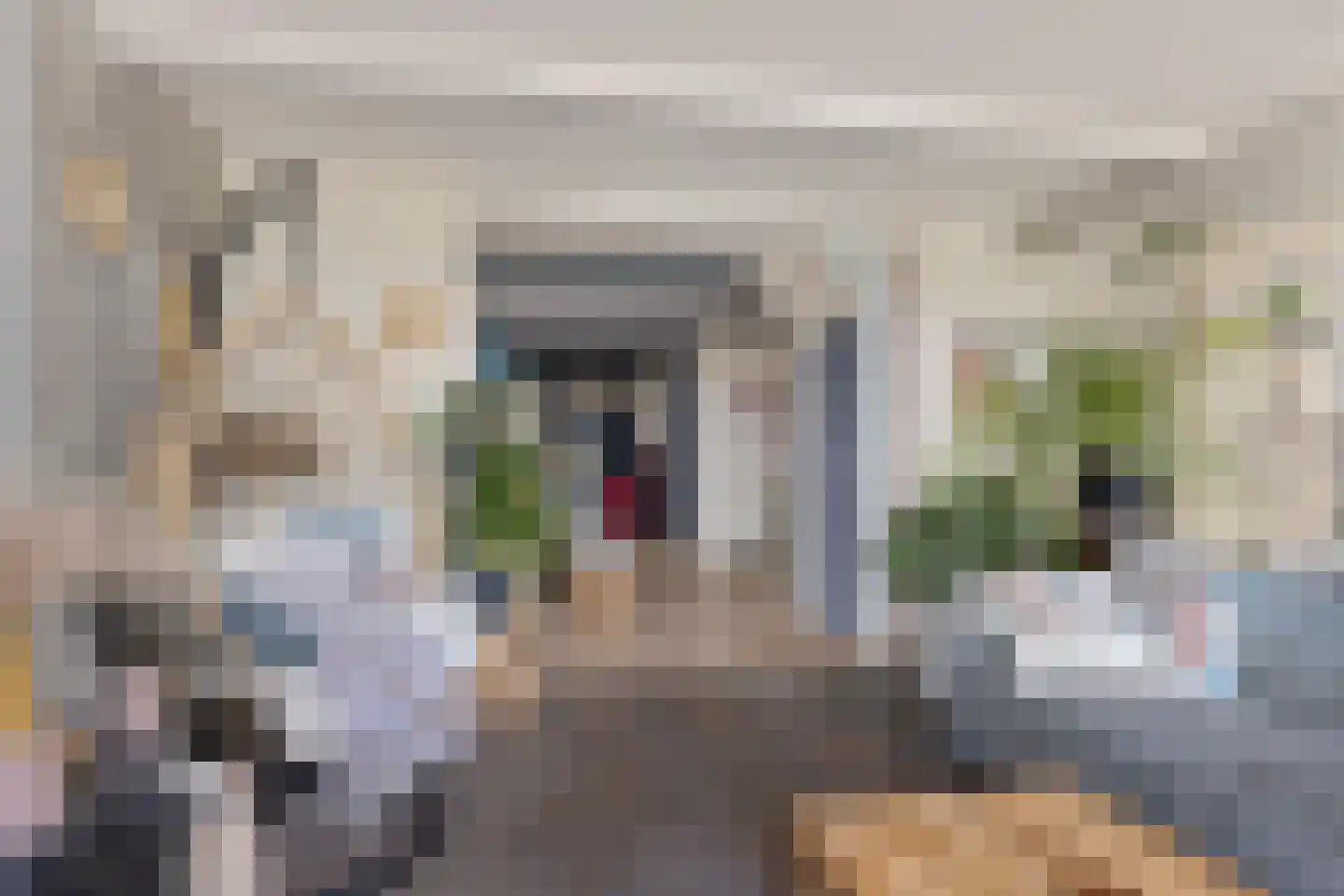Buorren 42 Rien thumbnail 5