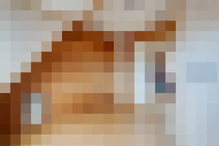 Buorren 43 Wytgaard thumbnail 31