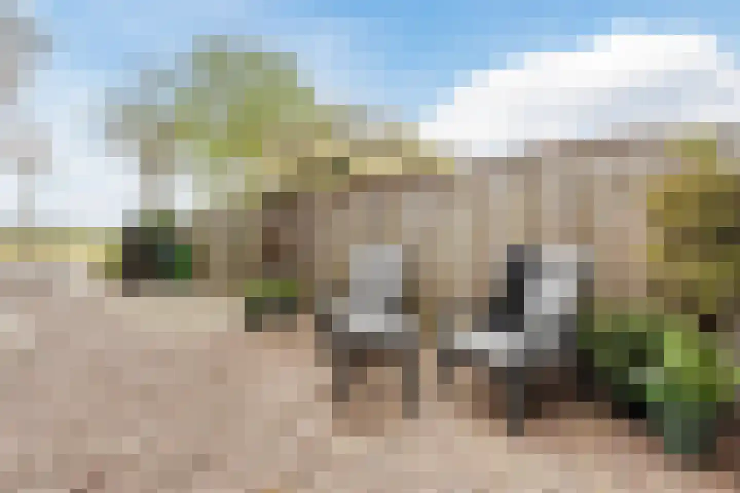 Buorren 43 Wytgaard thumbnail 4