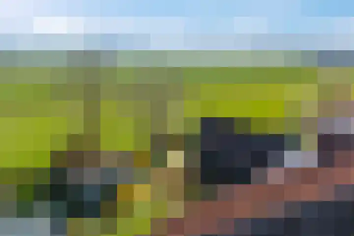Buorren 43 Wytgaard thumbnail 4