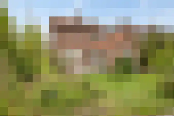 Buorren 43 Wytgaard thumbnail 43
