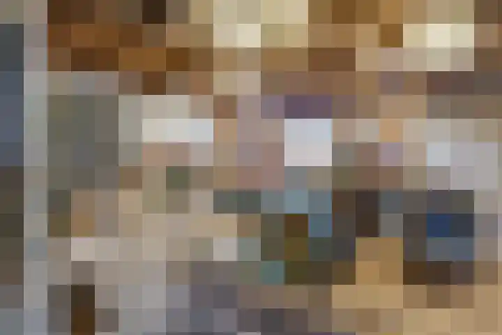 Buorren 43 Wytgaard thumbnail 48