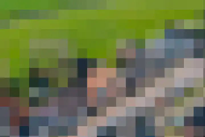 Buorren 43 Wytgaard thumbnail 5