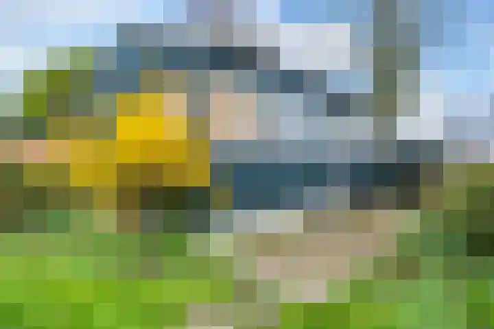 Buorren 43 Wytgaard thumbnail 52