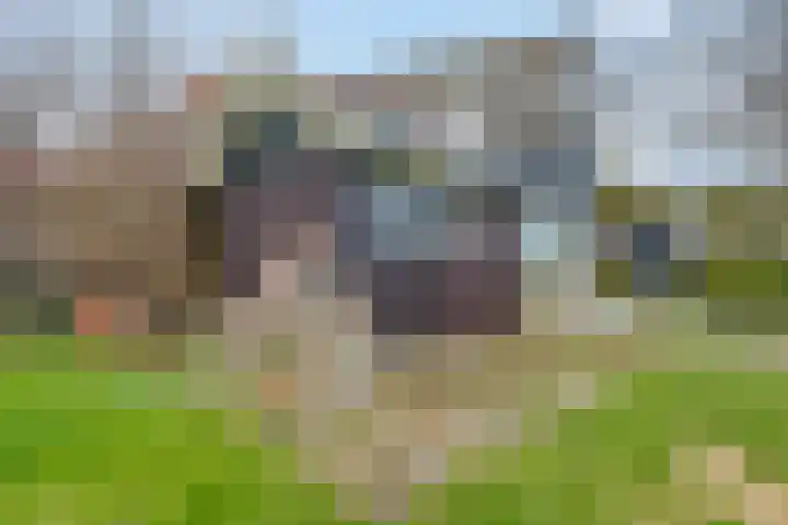 Buorren 43 Wytgaard thumbnail 60
