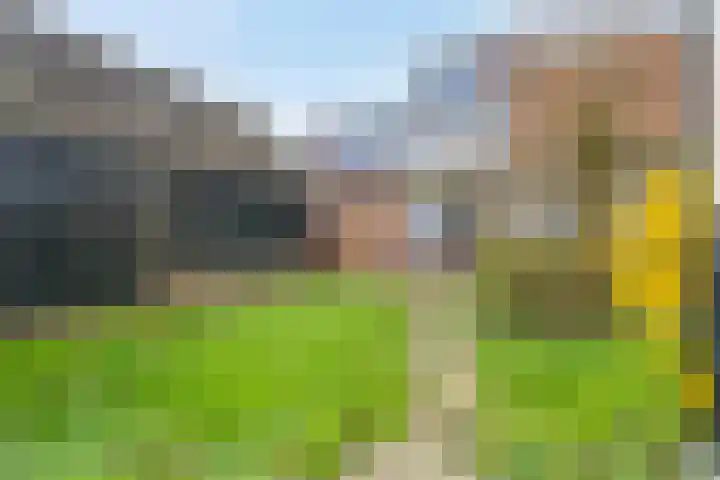 Buorren 43 Wytgaard thumbnail 66