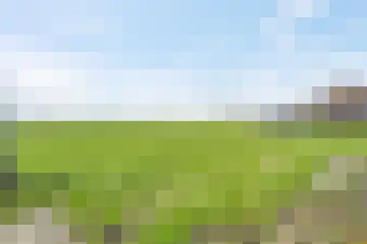 Buorren 43 Wytgaard thumbnail 68