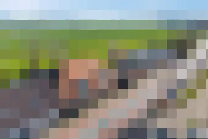 Buorren 43 Wytgaard thumbnail 71