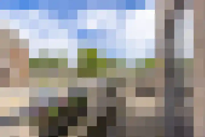 Buorren 43 Wytgaard thumbnail 77