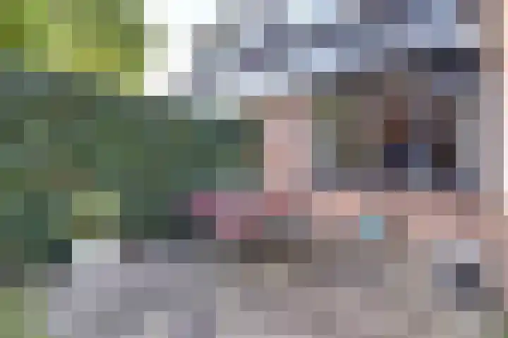 Buorren 43 Wytgaard thumbnail 80