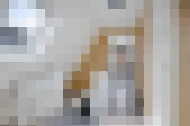 Buorren 46 Raerd thumbnail 24