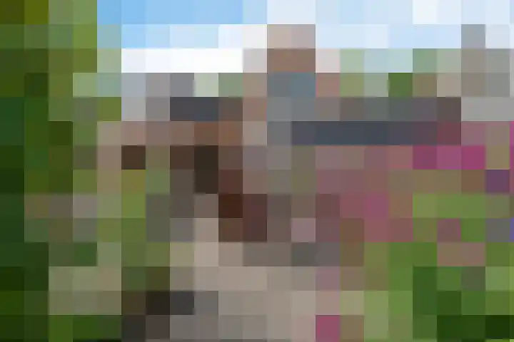Buorren 46 Raerd thumbnail 37