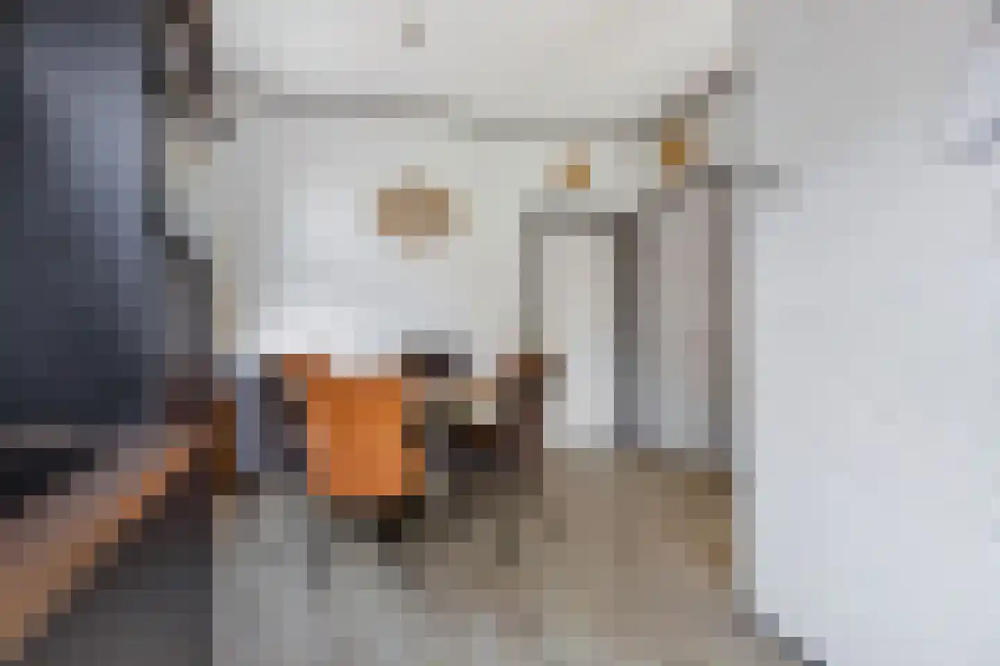 Buorren 5 Berltsum thumbnail 14