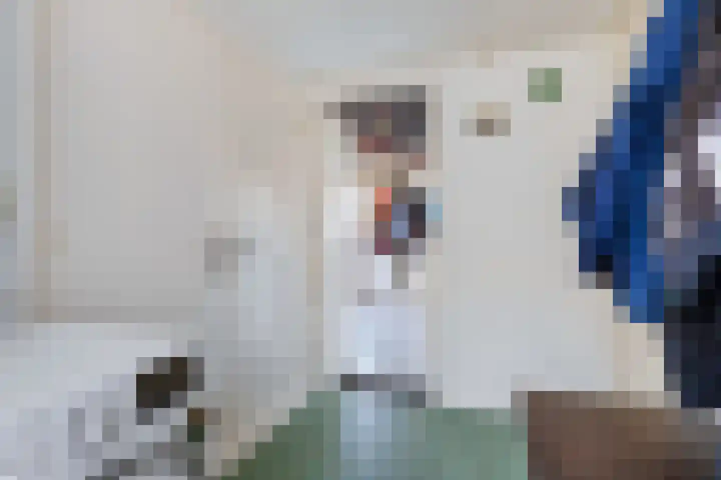 Buorren 5 Berltsum thumbnail 16