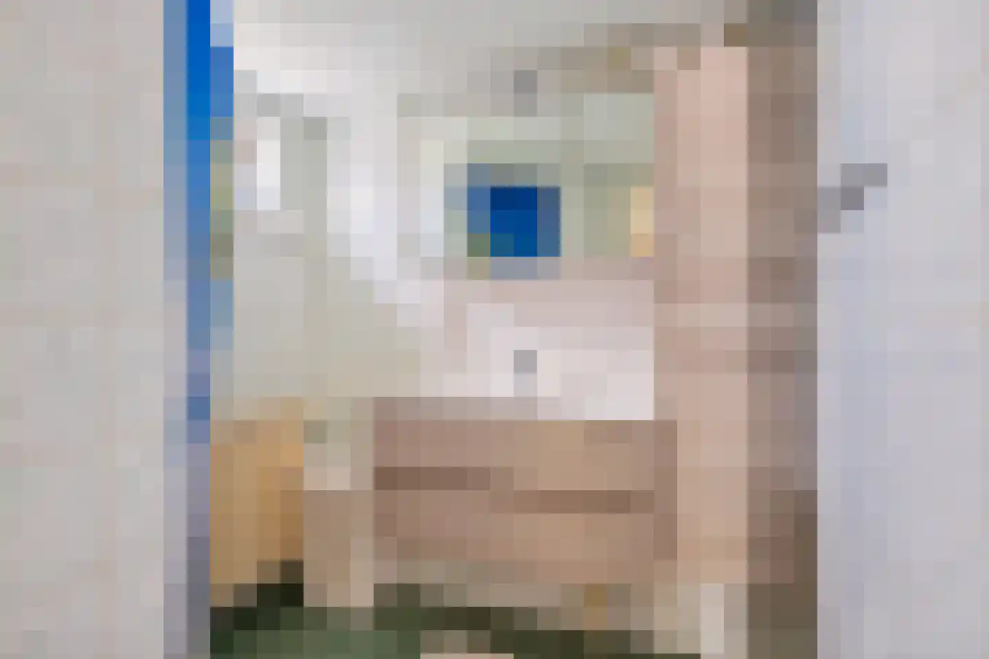 Buorren 5 Berltsum thumbnail 18