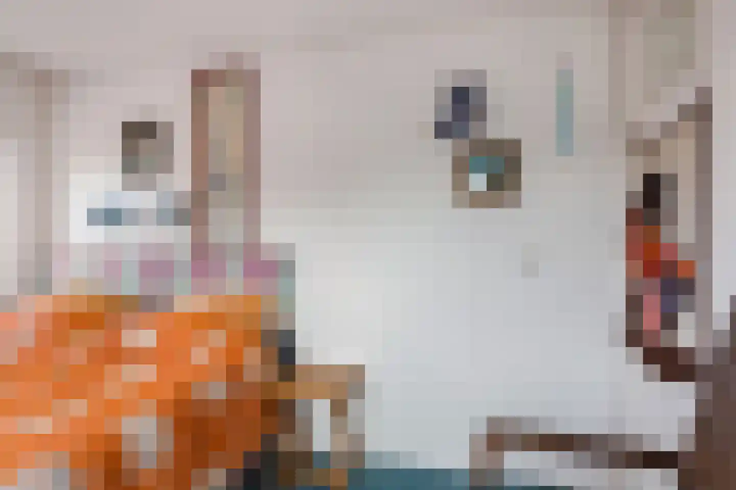 Buorren 5 Berltsum thumbnail 33