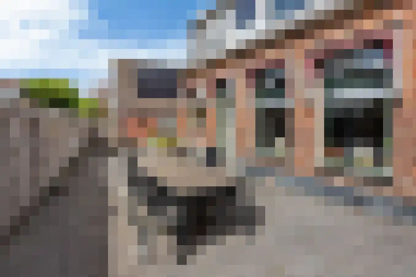 Buorren 5 Berltsum thumbnail 39