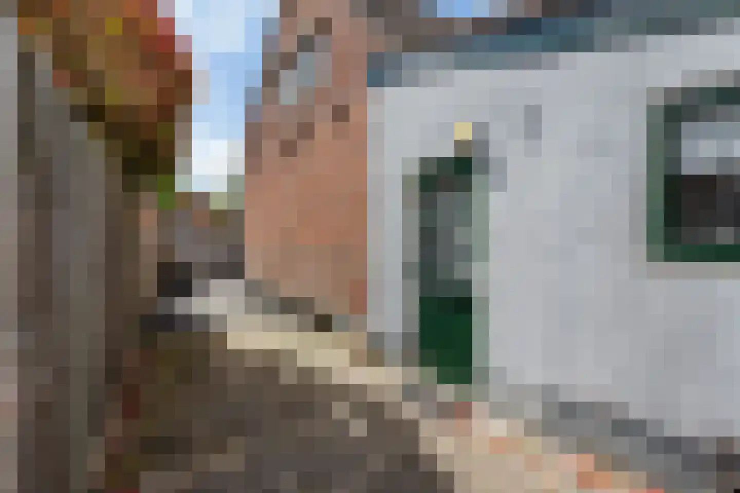 Buorren 5 Berltsum thumbnail 42