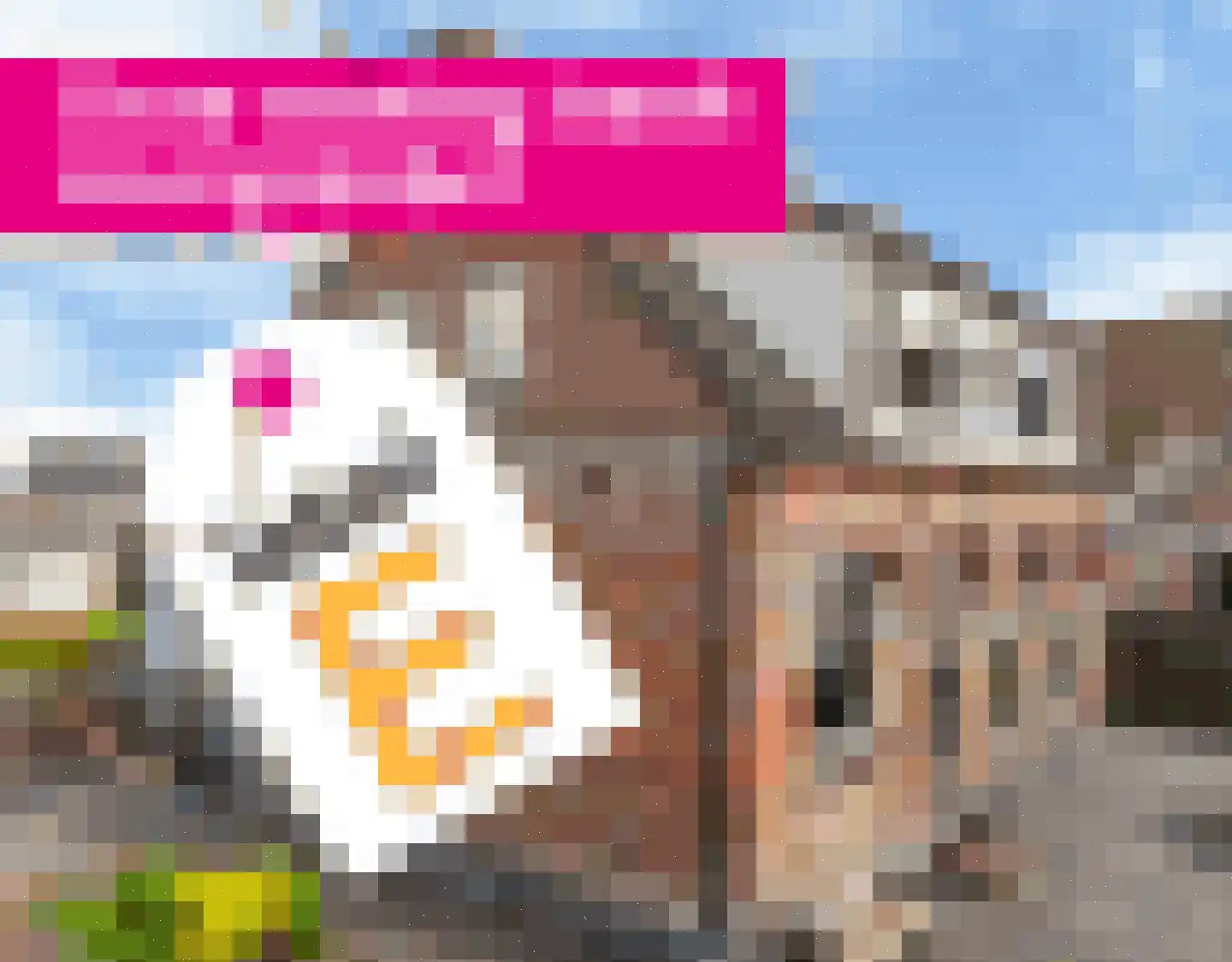 Buorren 5 Berltsum thumbnail 59