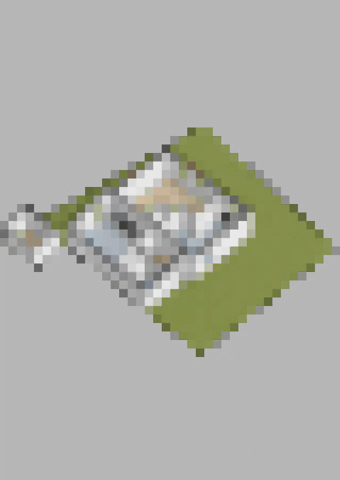 Buorren 5 Berltsum thumbnail 69