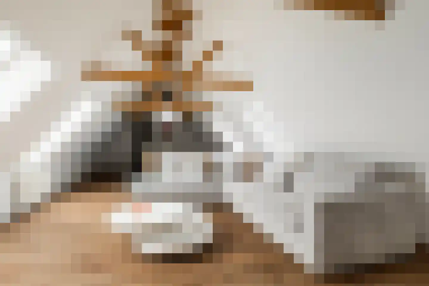 Buorren 5 Lekkum thumbnail 113