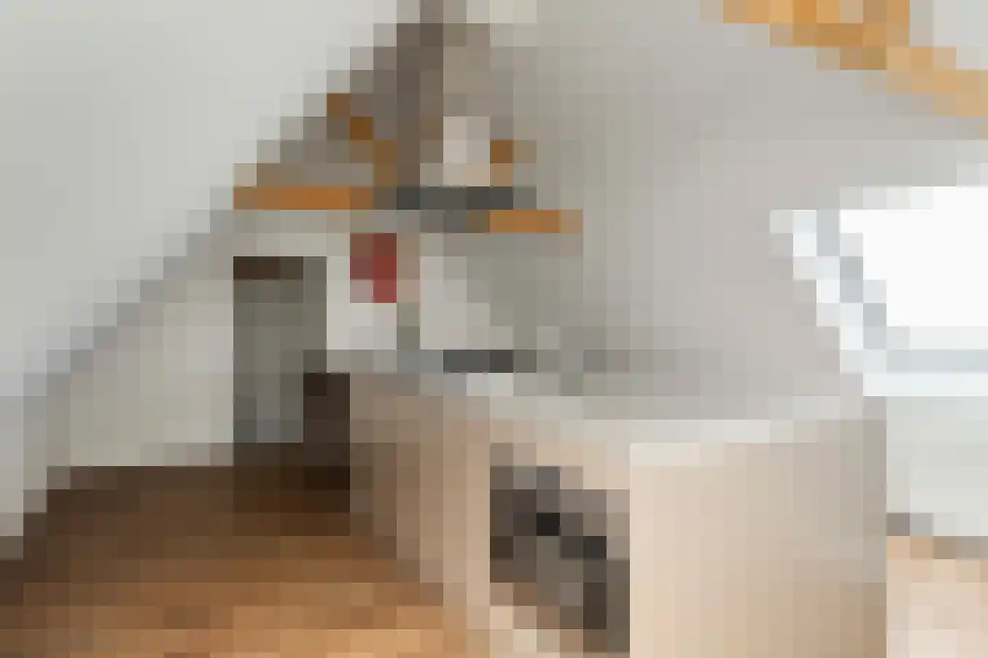 Buorren 5 Lekkum thumbnail 116