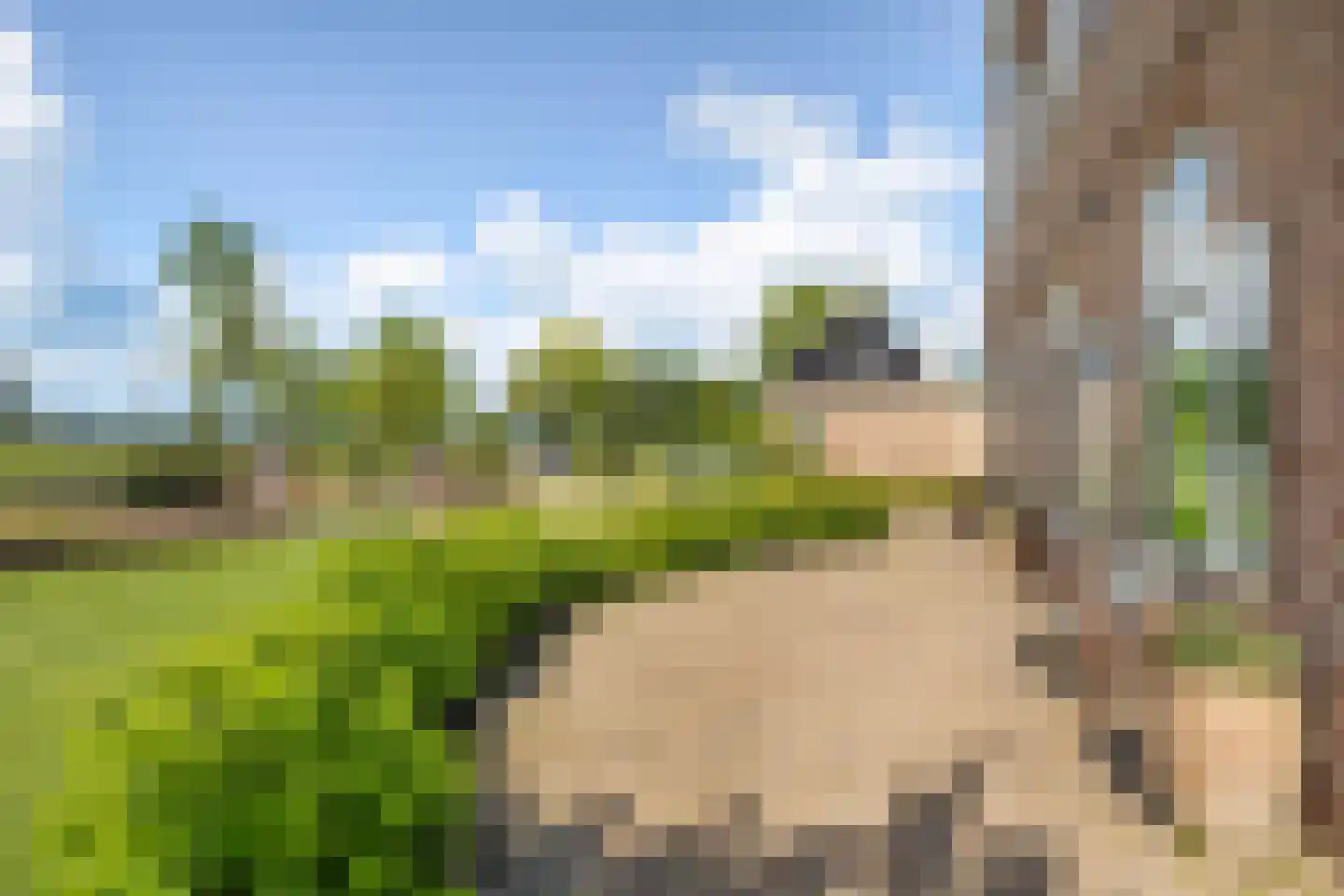 Buorren 5 Lekkum thumbnail 12