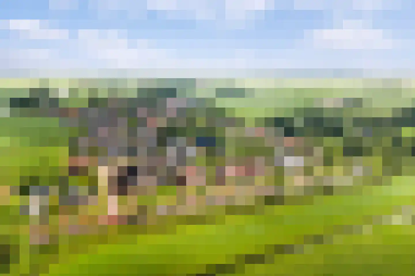 Buorren 5 Lekkum thumbnail 121