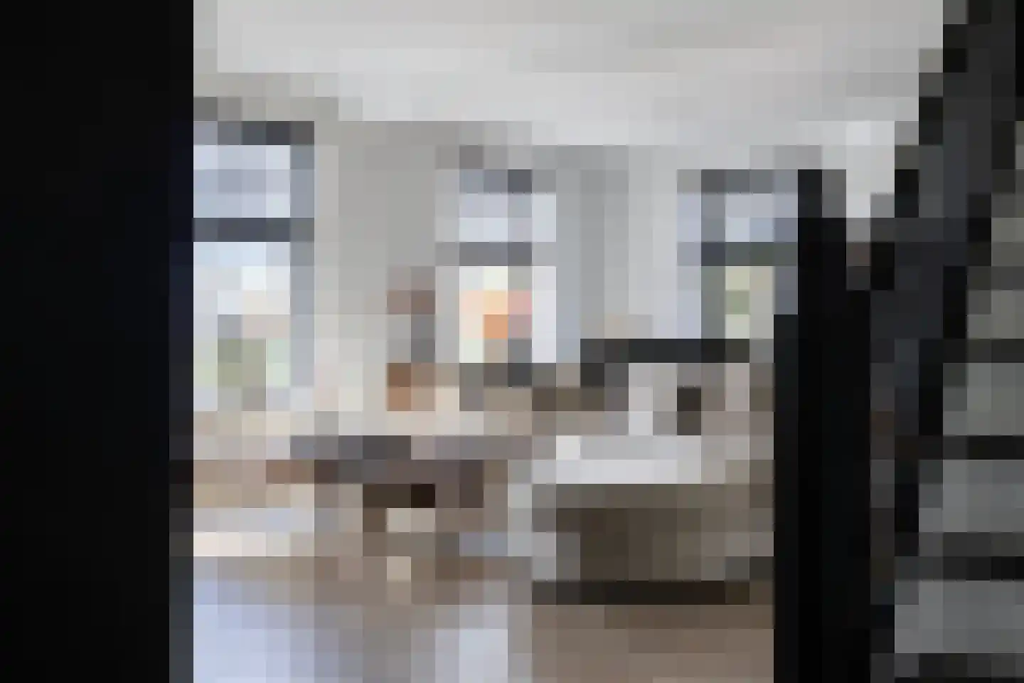Buorren 5 Lekkum thumbnail 17
