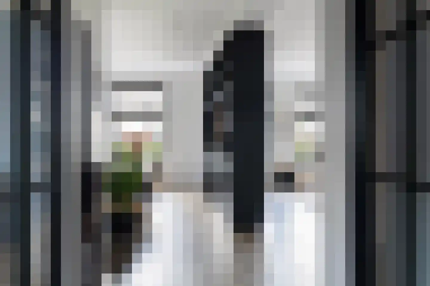 Buorren 5 Lekkum thumbnail 22