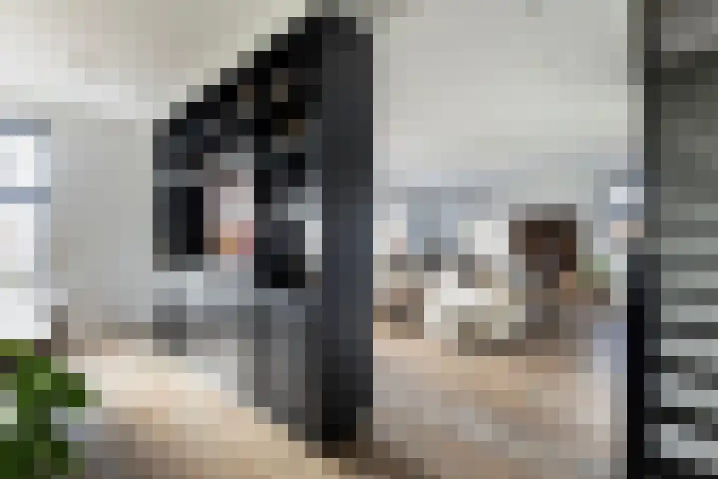 Buorren 5 Lekkum thumbnail 23