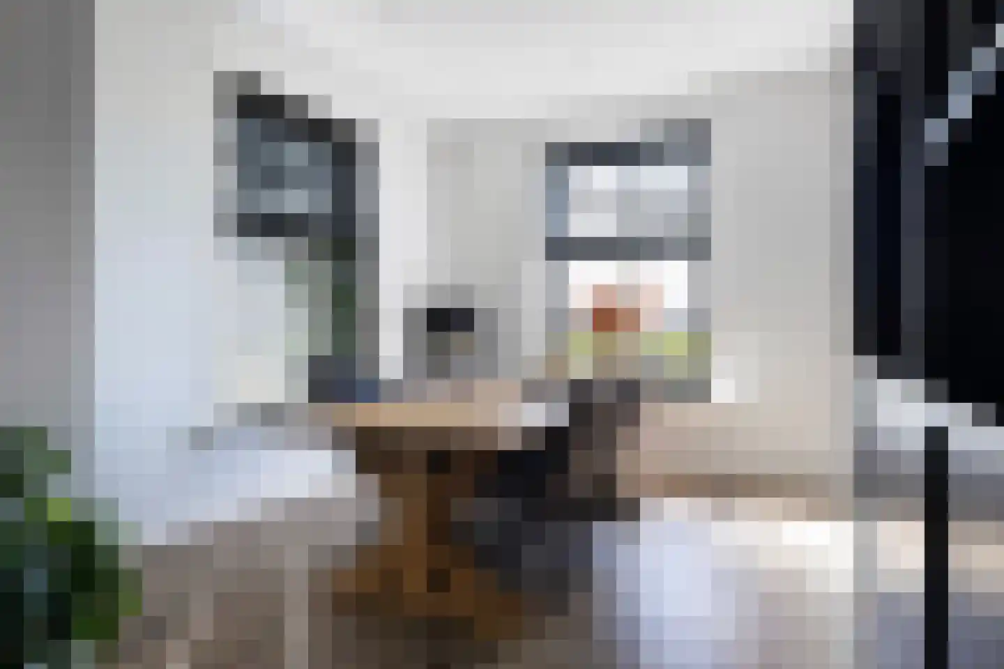 Buorren 5 Lekkum thumbnail 24