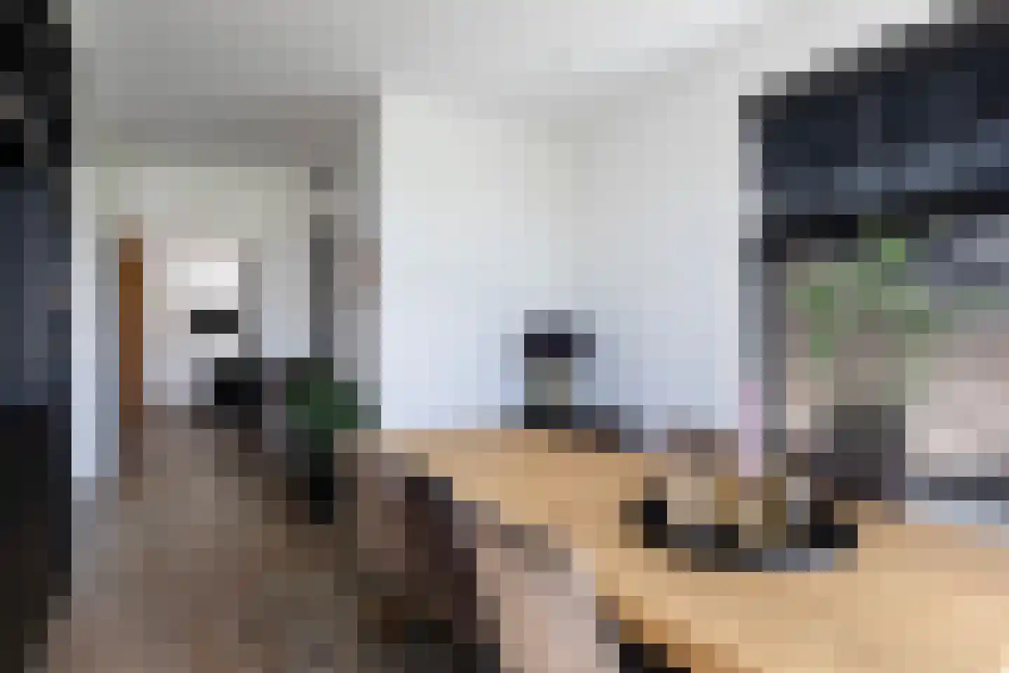 Buorren 5 Lekkum thumbnail 25