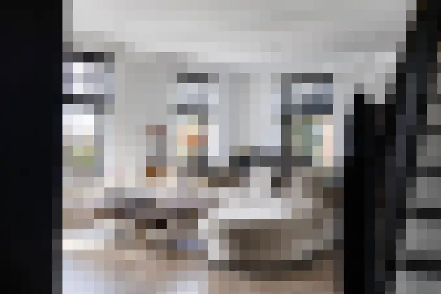 Buorren 5 Lekkum thumbnail 27